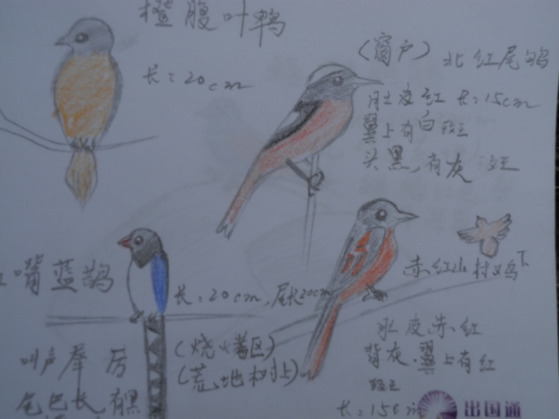 DSCN2091.JPG