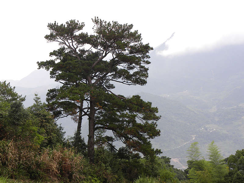 2011.11.06 010.jpg