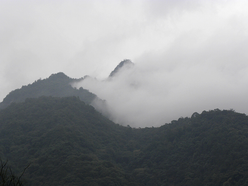 2011.11.06 004.jpg