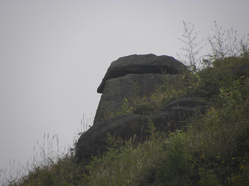 2011.11.06 052.jpg