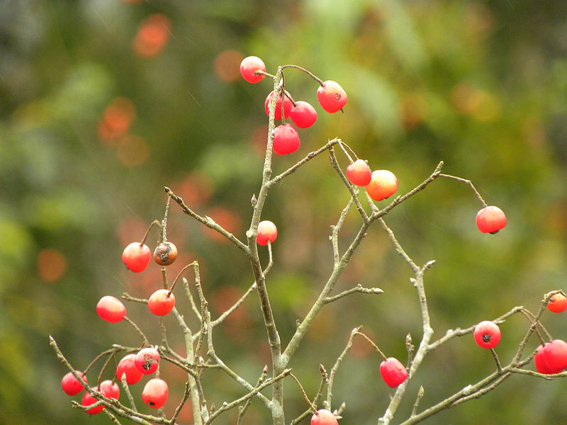 2011.11.06 039.jpg