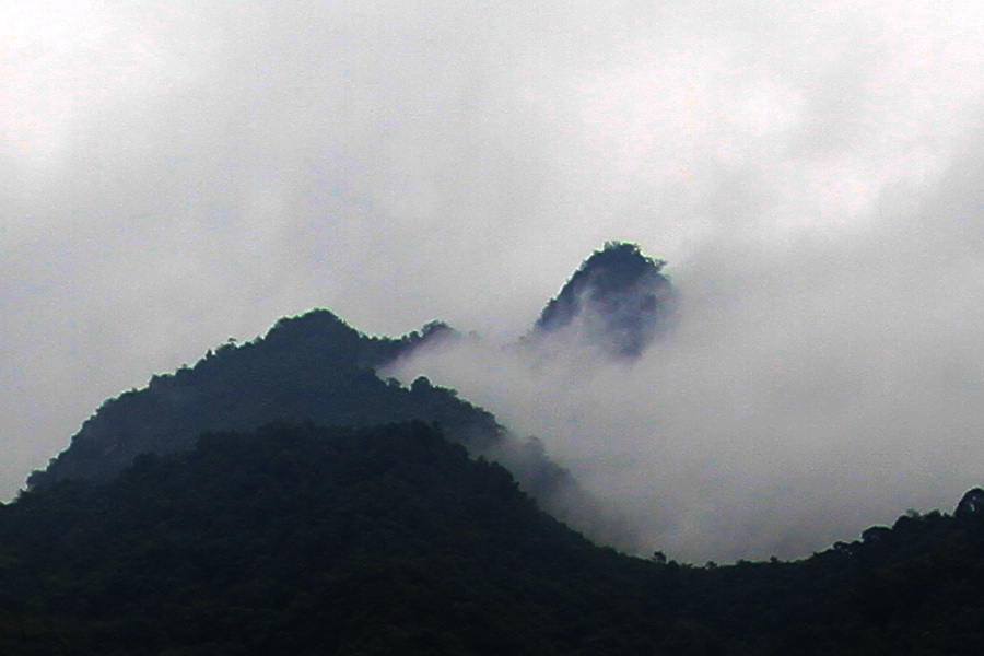 a008.jpg