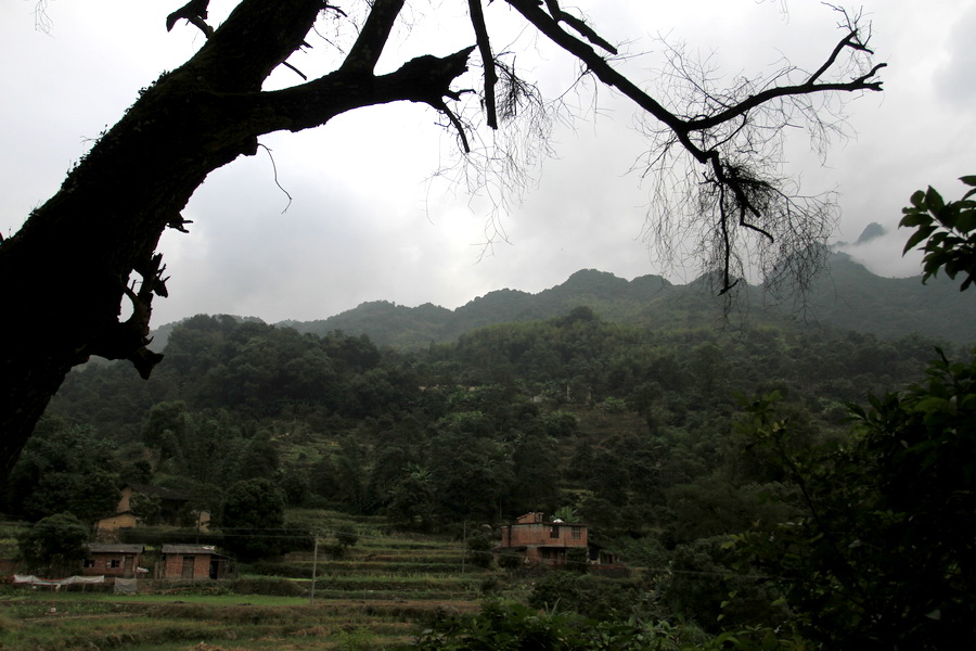 a010.jpg