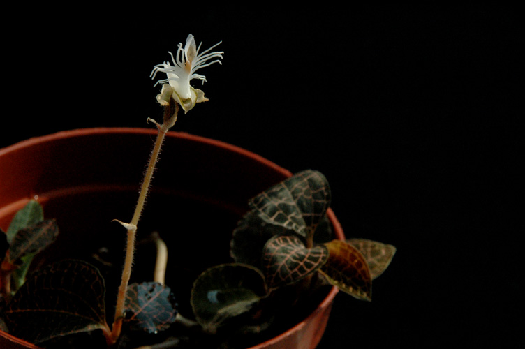 DSC_5229ʮһ.jpg