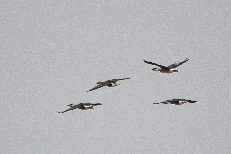 2011_11_24_0216.jpg