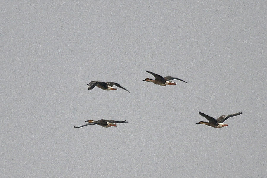 2011_11_24_0220.jpg