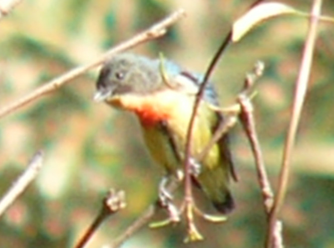 p1300333_.jpg