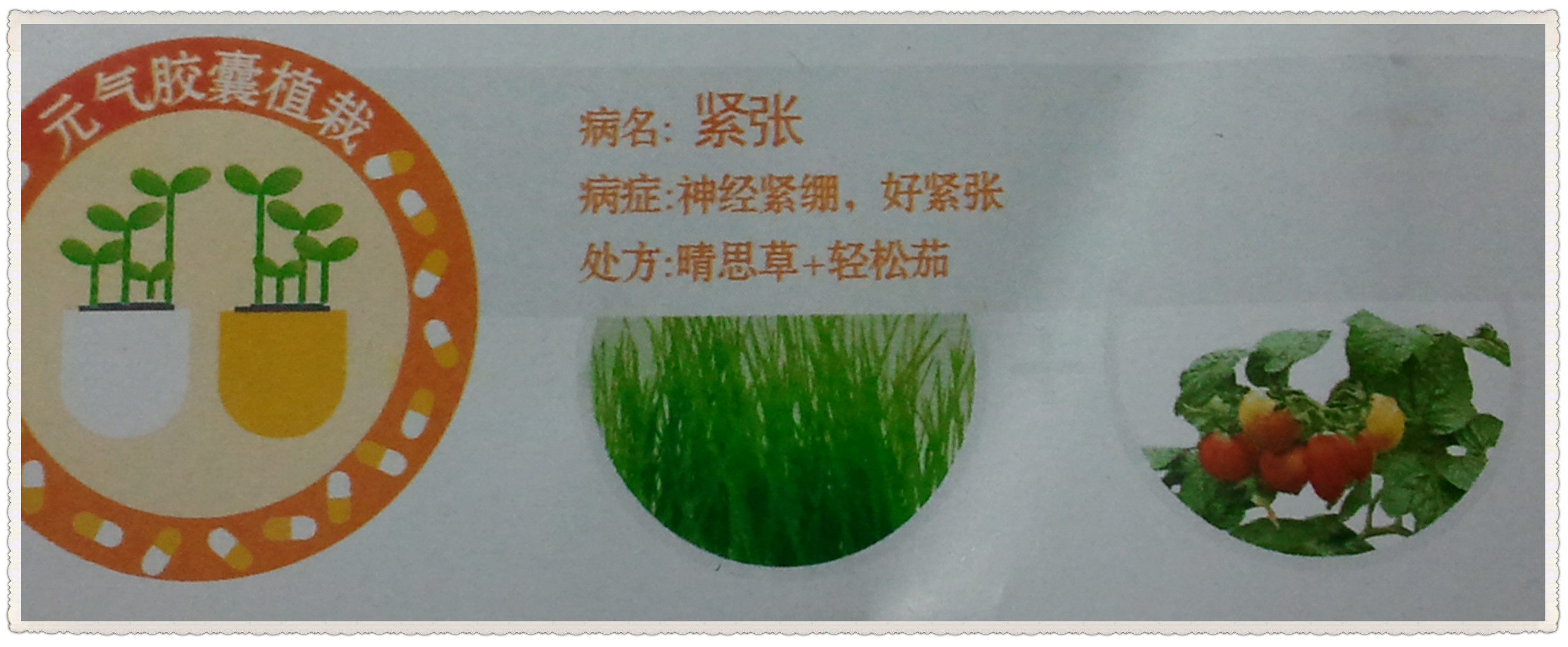 说明书.jpg