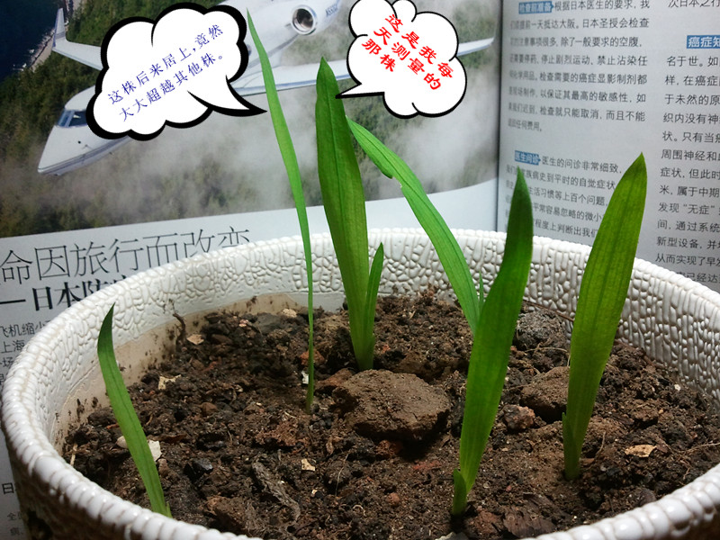 2011-12-30 20.jpg