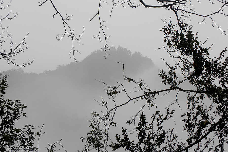 2012.01.03 073.jpg