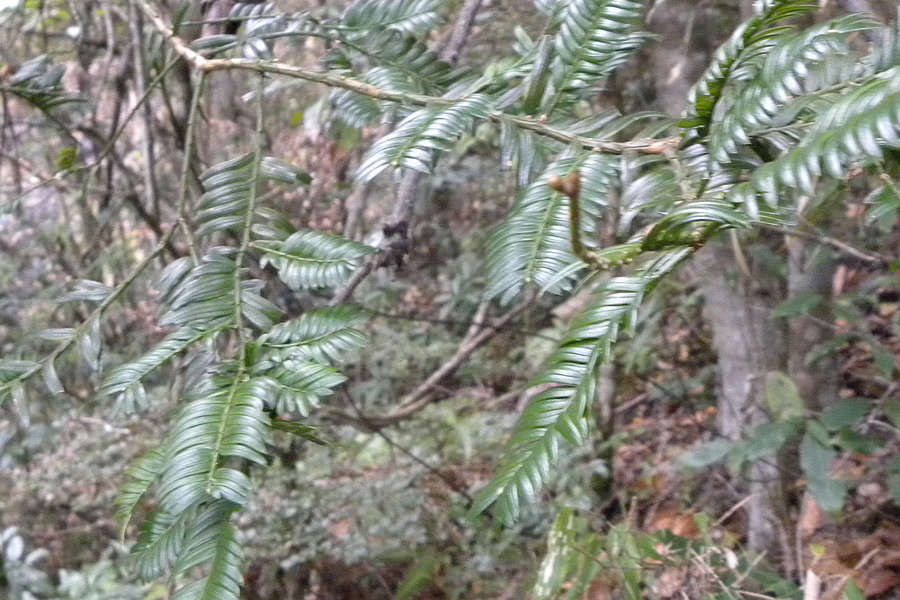 2012.01.03 075.jpg