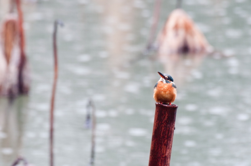 _DSC6814-1_调整大小.jpg