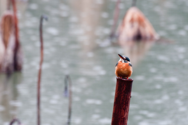_DSC6813-1_调整大小.jpg