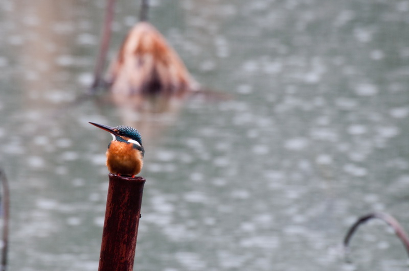 _DSC6819-1_调整大小.jpg