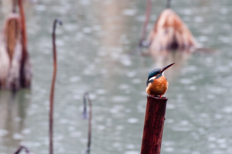 _DSC6817-1_调整大小.jpg