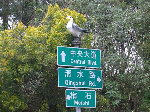 燕鸥文化（路标）.jpg