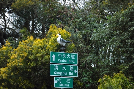 路标.jpg