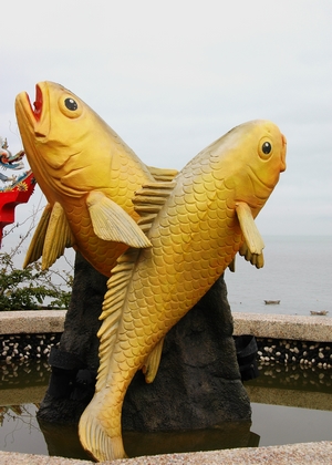桥仔村大黄鱼.jpg