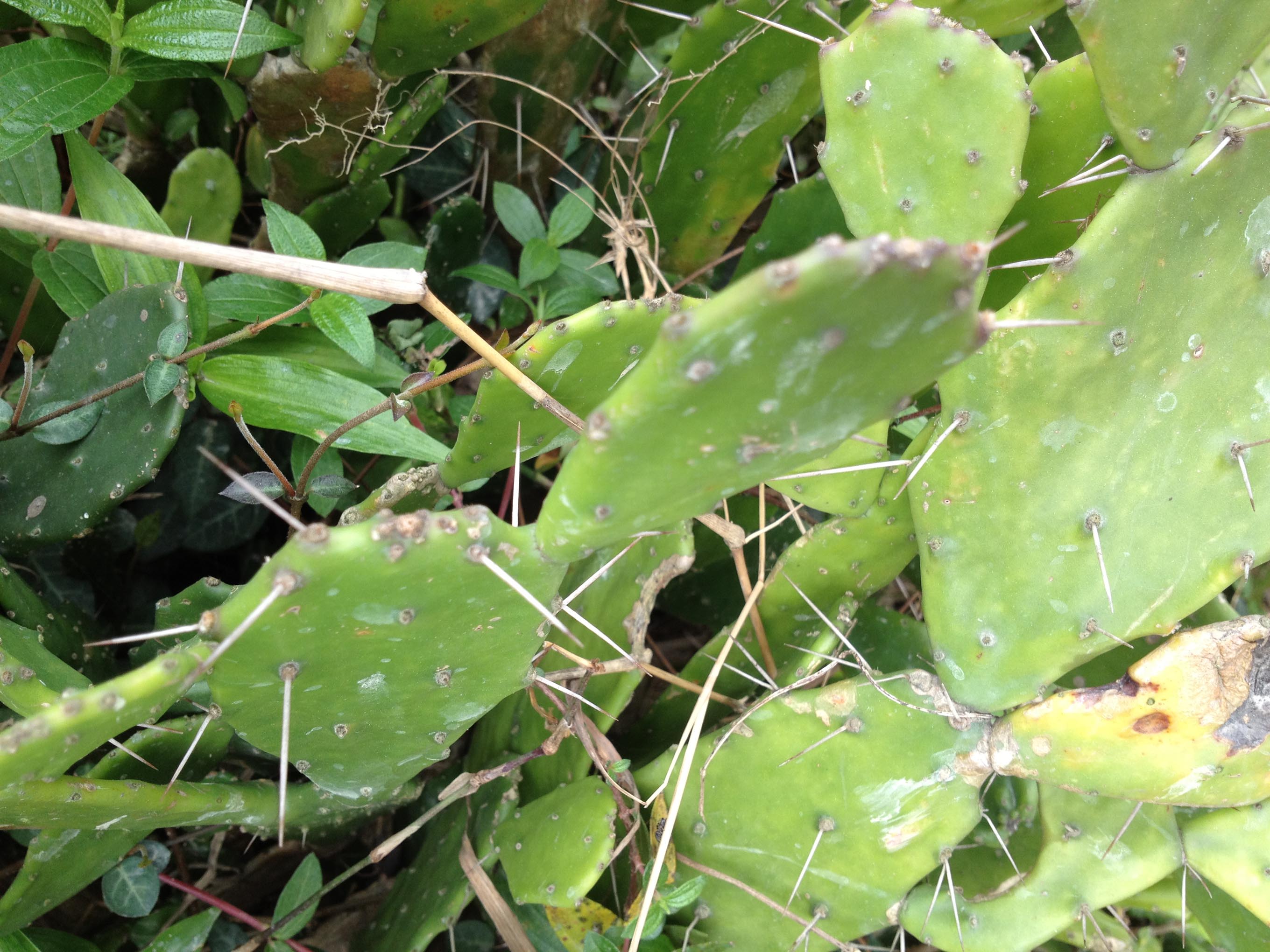 ����������