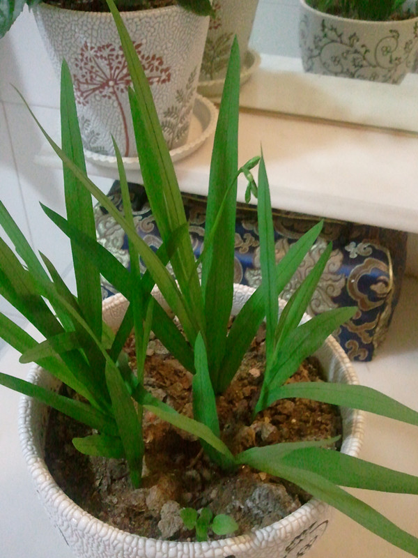 2012-03-22 23.35.52_副本.jpg