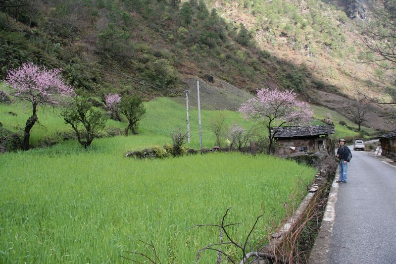 丙中洛--秋那桶的峡谷风景5.jpg