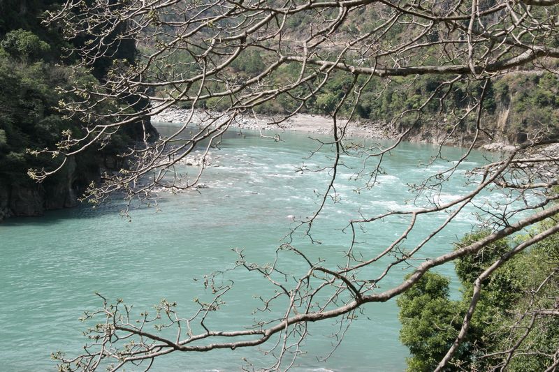 峡谷流水绿如蓝15.jpg