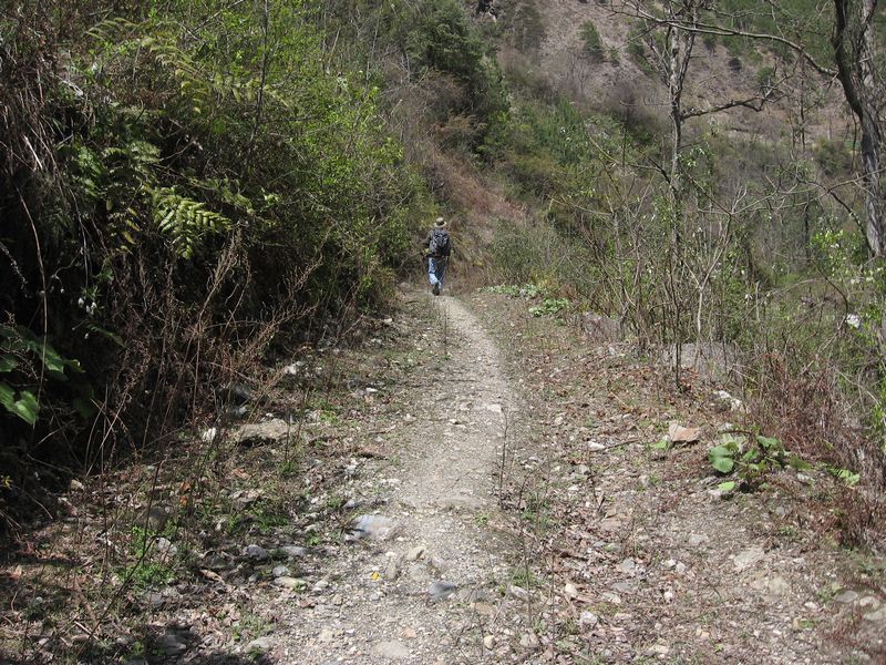 走向秋那桶3.jpg