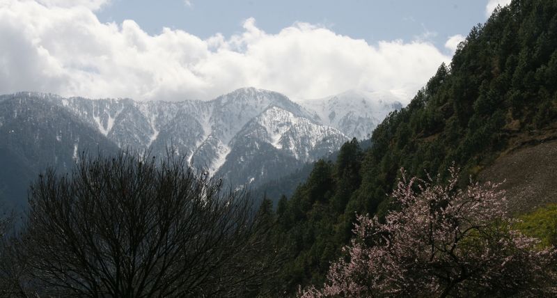 秋那桶3.jpg