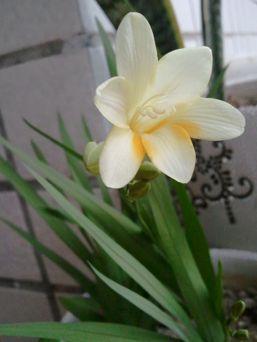 2012-03-31 18.05.01_.jpg