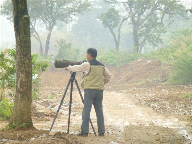psbCAVDW980.jpg