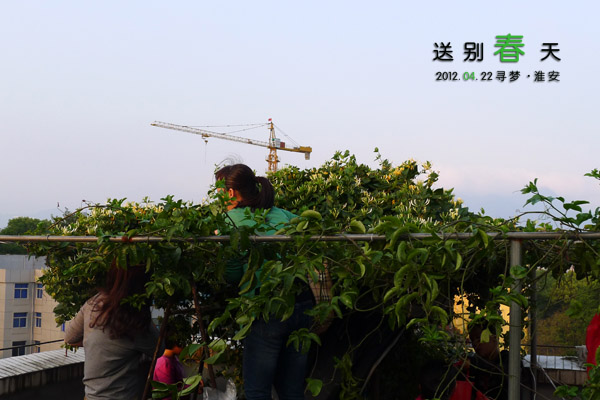 秘密花园0.jpg