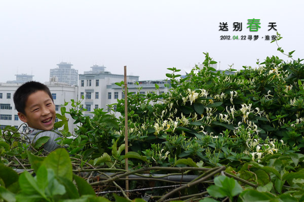 秘密花园2.jpg