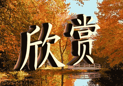 欣赏.gif