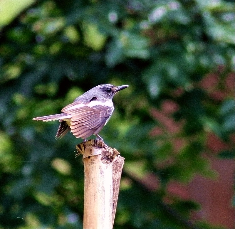 IMG_5881.jpg