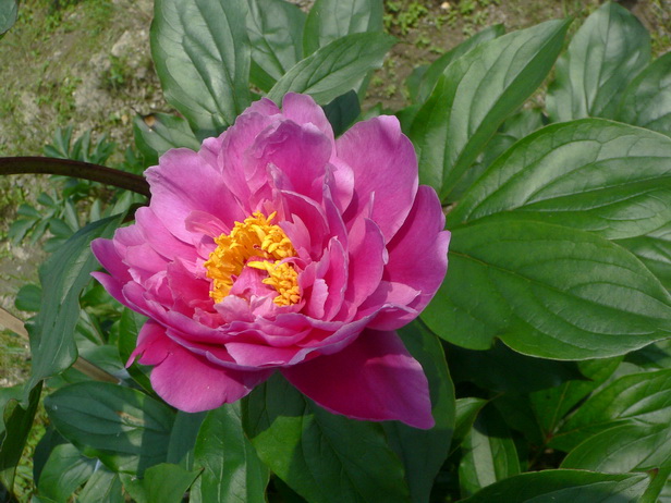 2。
