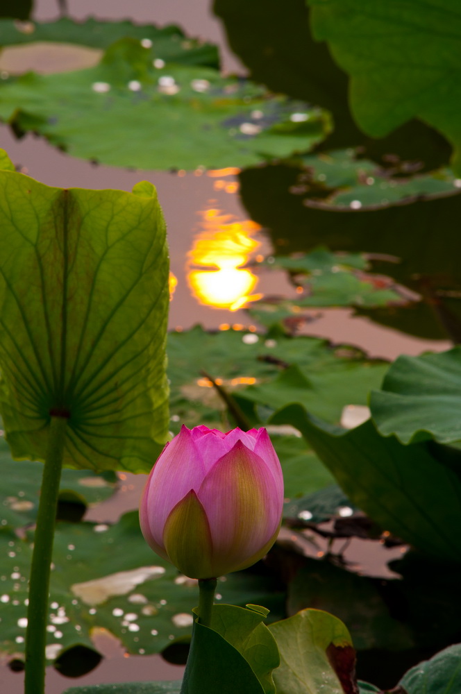 _DSC2873_调整大小.jpg