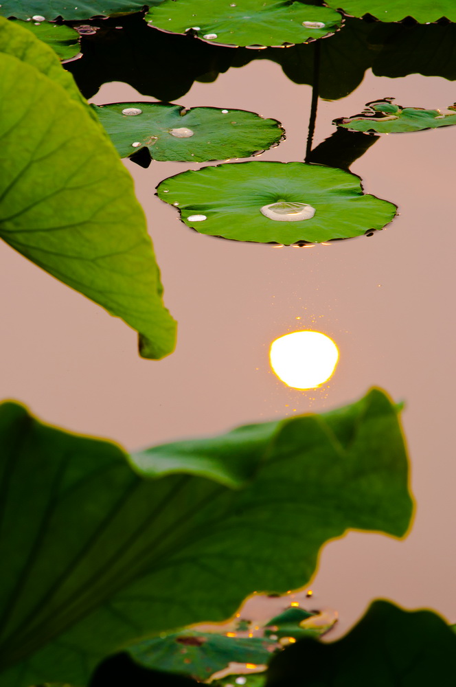 _DSC2885_调整大小.jpg