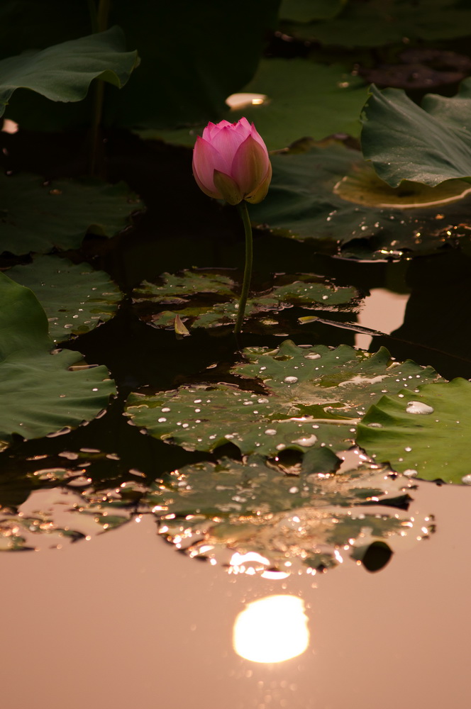 _DSC2928_调整大小.jpg