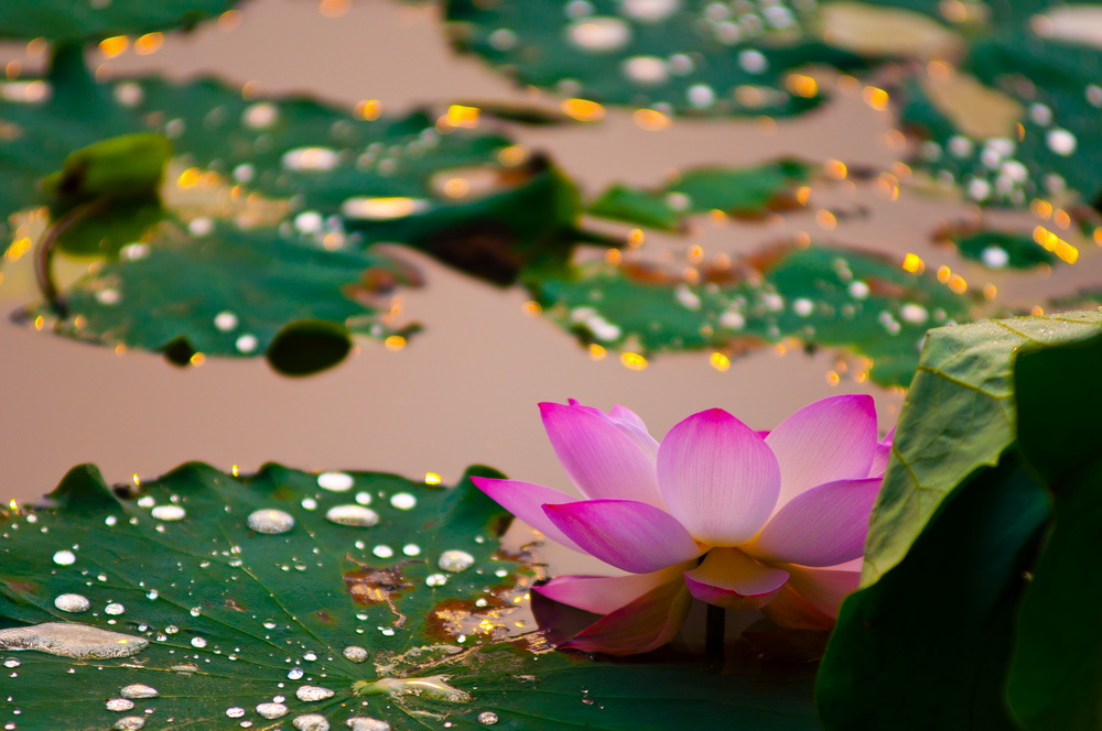 _DSC2962_调整大小.jpg