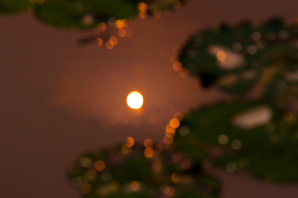 _DSC2978_调整大小.jpg