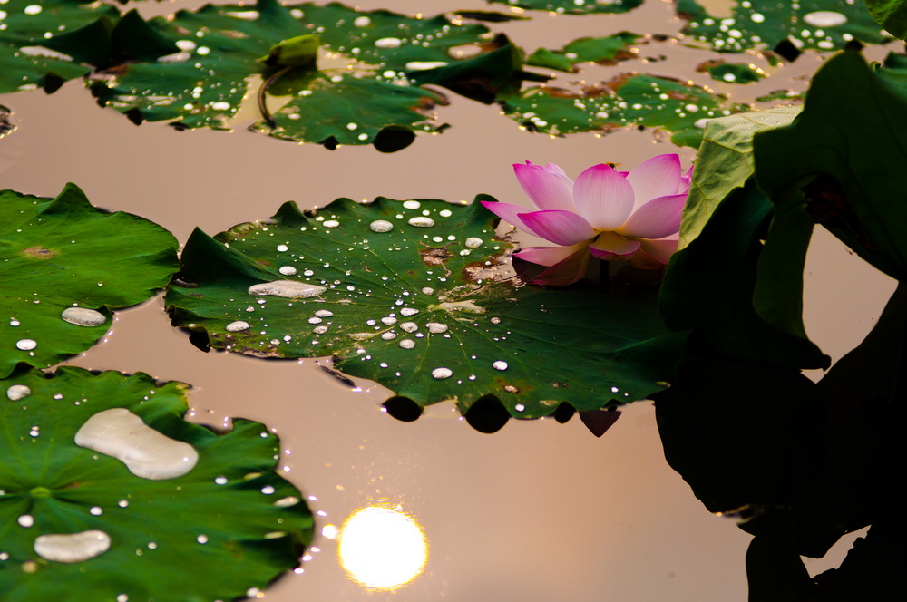 _DSC2964_调整大小.jpg