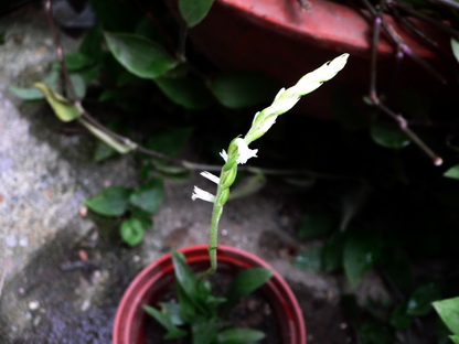 1。