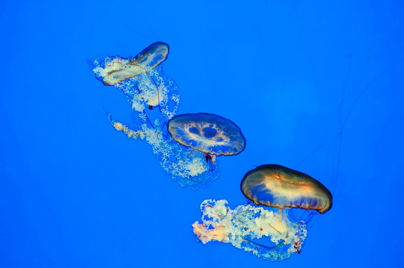 _DSC6316-2_调整大小.jpg