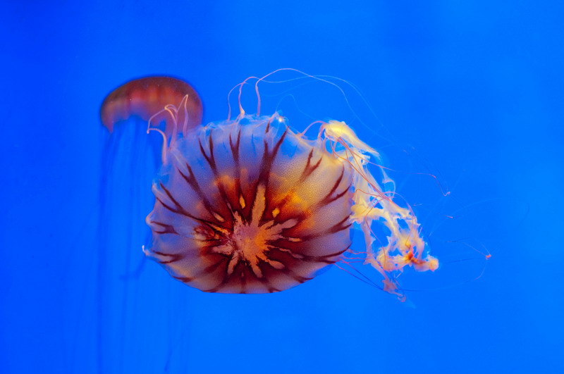 _DSC6306-1_调整大小.jpg