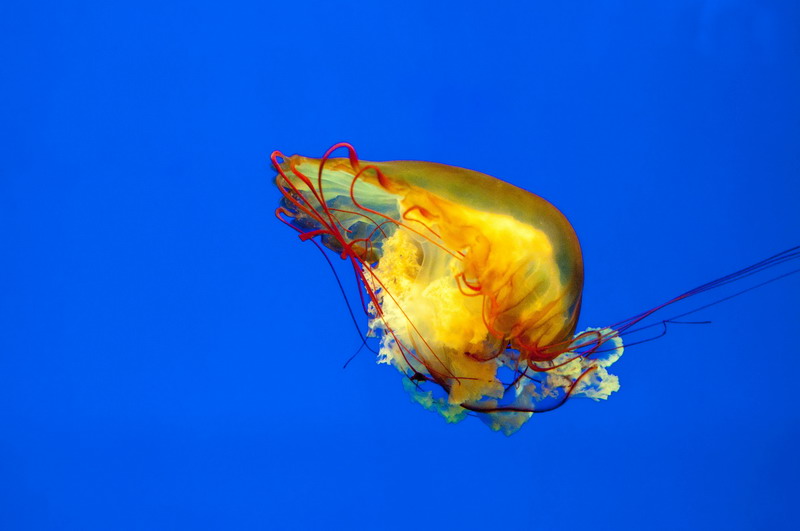 _DSC6336-1_调整大小.jpg