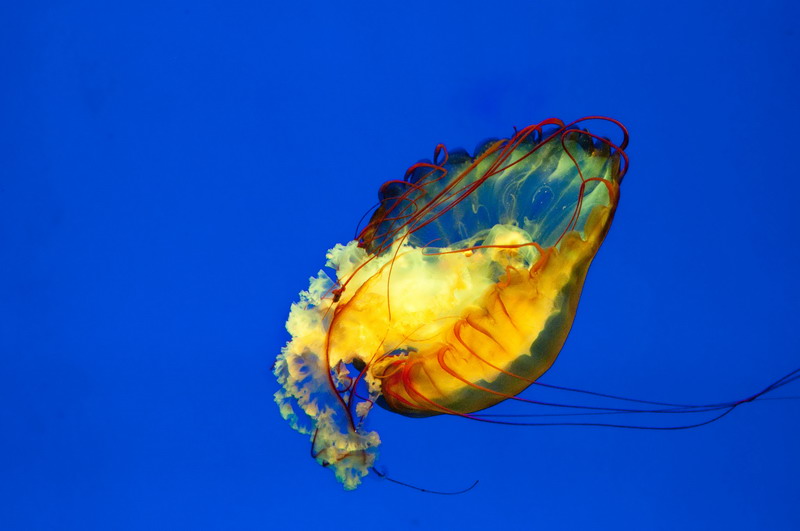 _DSC6339-1_调整大小.jpg