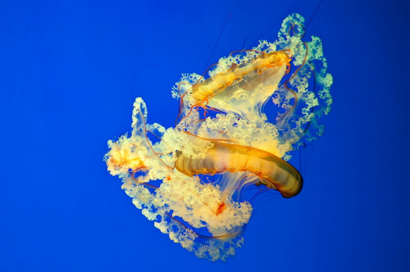 _DSC6342-1_调整大小.jpg