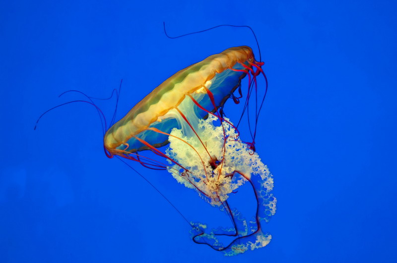 _DSC6348-1_调整大小.jpg