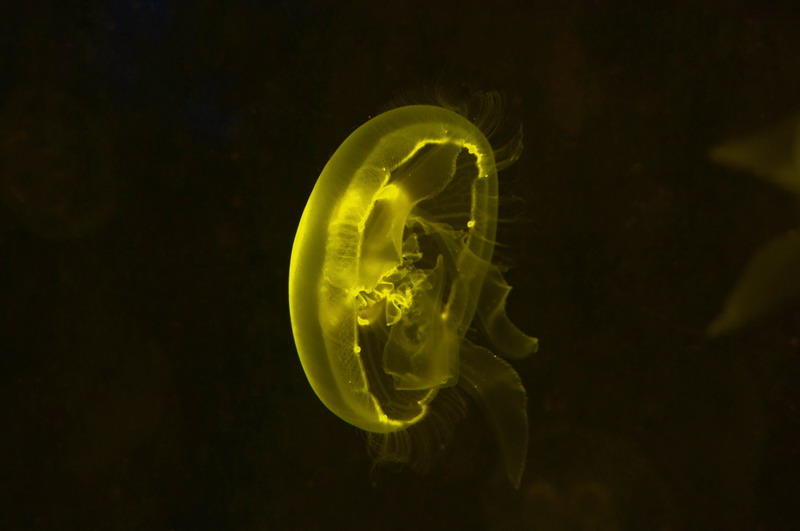 _DSC6371-2_调整大小.jpg