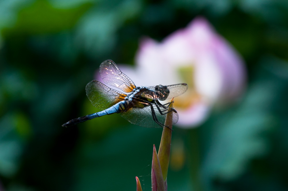 _DSC6_调整大小.jpg